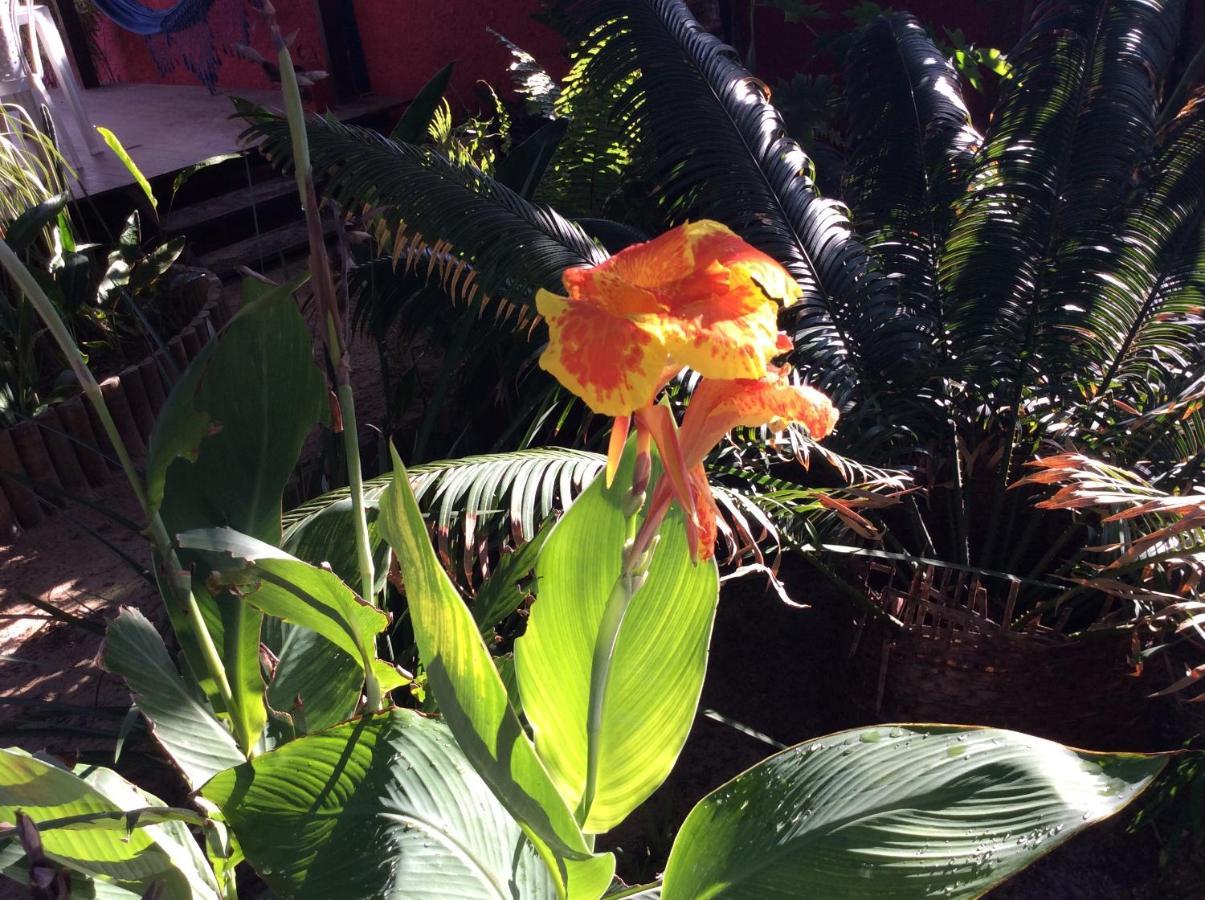 Casa Do Jardim Bed & Breakfast Canoa Quebrada Bagian luar foto