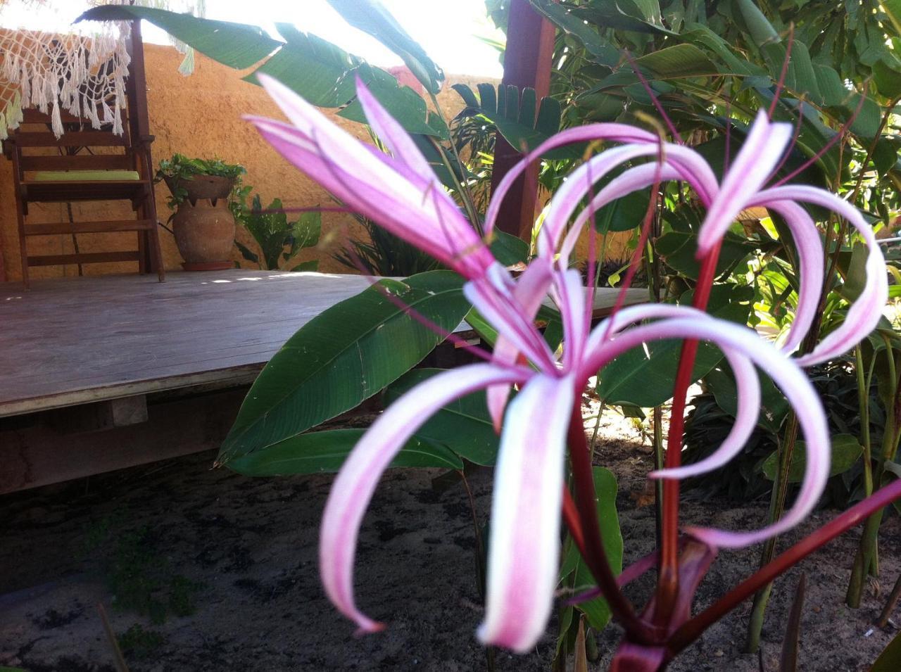 Casa Do Jardim Bed & Breakfast Canoa Quebrada Bagian luar foto